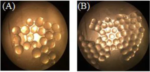 Figure 2 - Illustration of particles of different diameters (A) obtained with a Pasteur pipette and (B) obtained with a  syringe 