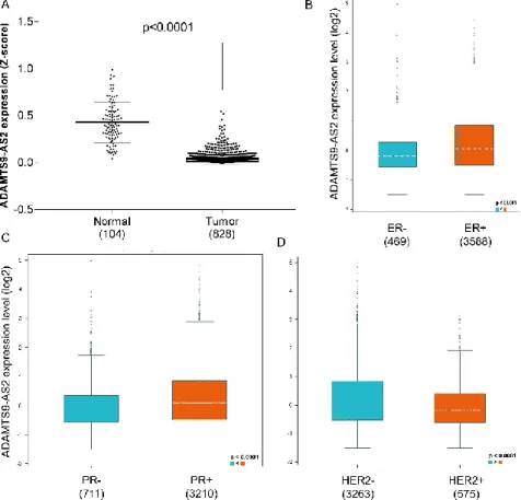 Figure  2.  Expression  of  ADAMTS9-AS2.  A)  ADAMTS9-AS2  expression  in  normal  and  breast  tumor tissues provide by TANRIC data analysis