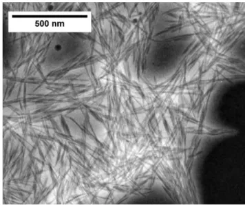 Figura 4. Microscopia eletrônica de transmissão - nanocelulose 