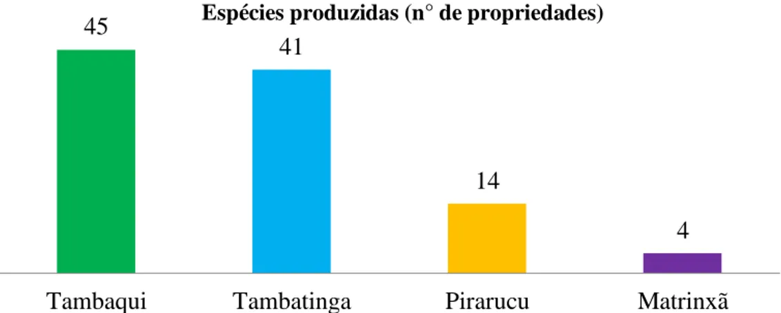 Figura 14. Principais espécies produzidas nas pisciculturas de Monte Alegre/PA. Fonte: Dados da pesquisa