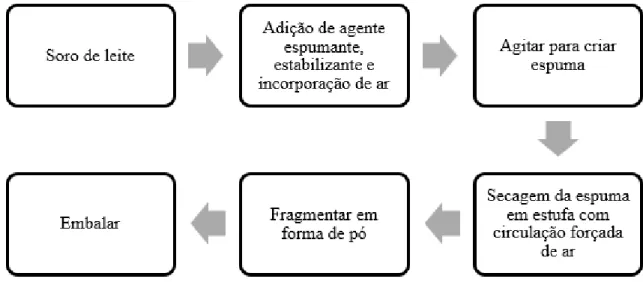 Figura 2 - Fluxograma de secagem foam-mat 