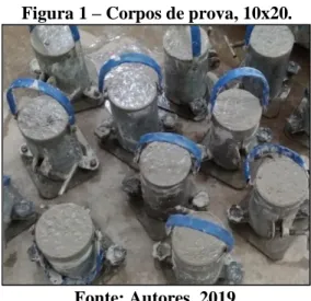 Figura 1 – Corpos de prova, 10x20. 