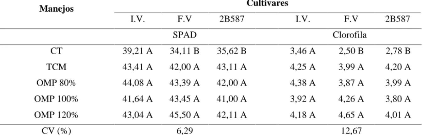 Tabela 5. Valores de SPAD total e clorofila total de três cultivares de milho (Impacto Viptera (I.V.), Feroz Viptera  (F.V) e 2B587) aos 42 DAS, submetidas a diferentes manejos de adubação