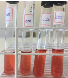 Figure 2 - BAT medium with addition of dye Chromoazurol S. in different concentrations 