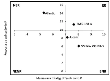 Figura 1 - Diagrama de classificação dos genótipos de batata Asterix, Atlantic, SMIC 148-A e SMINIA  793103-3 oriundos de micropropagação, quanto à resposta da aplicação de P na produção de massa seca total 