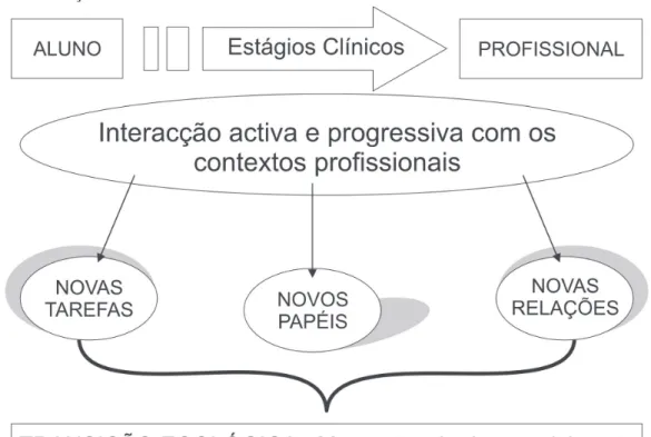 Figura 2 - Transição ecológica. 10