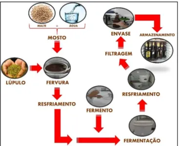 Figura 1. Resumo do processo de produção da cerveja. 