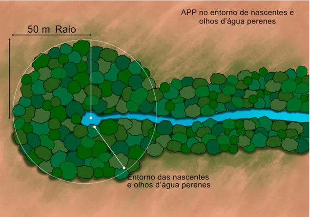 Figura 2: APP no entorno de nascentes e olhos d’água perenes. In: Cartilha do Código Florestal Brasileiro.