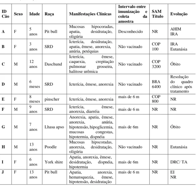 Tabela 1 – Resultados sorológicos, características e principais manifestações clínicas encontradas em dez cães  com suspeita clínica de leptospirose, atendidos no Hospital Veterinário da Universidade Metodista de São Paulo  – São Paulo, 2019 