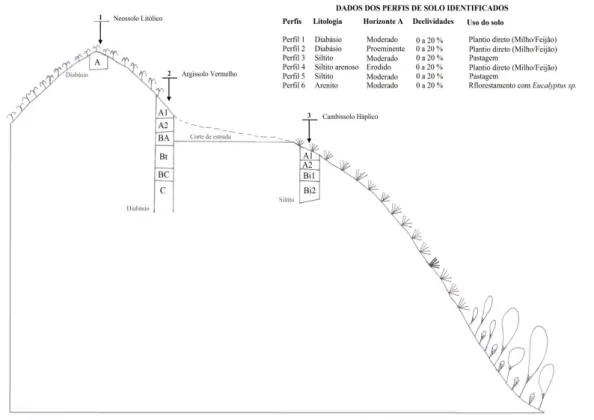Figura 5 - Dados dos perfis e diagrama representando uma vertente local e seus tipos de solos