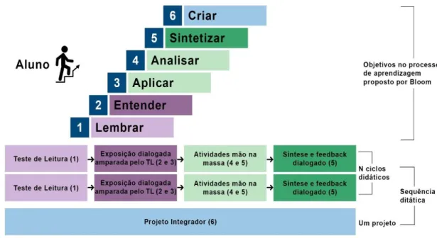 Figura 1 – Atividades do ciclo didático relacionados com cada nível cognitivo de Bloom 