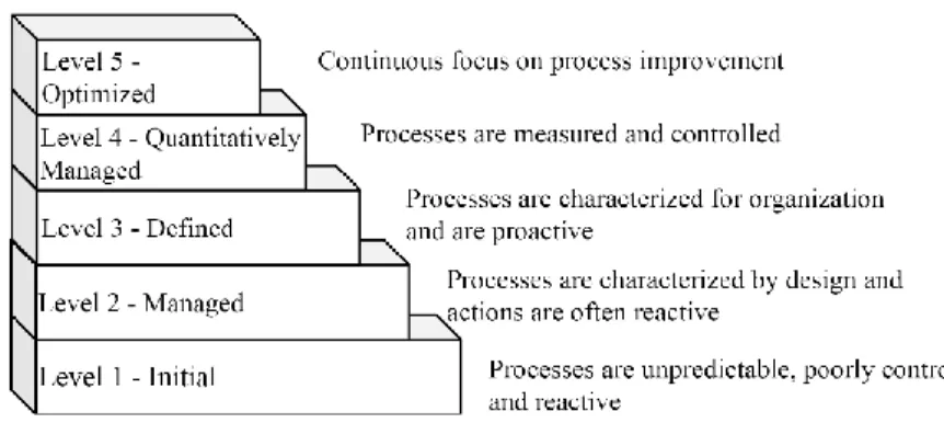 Figure 2. CMMI Levels. 