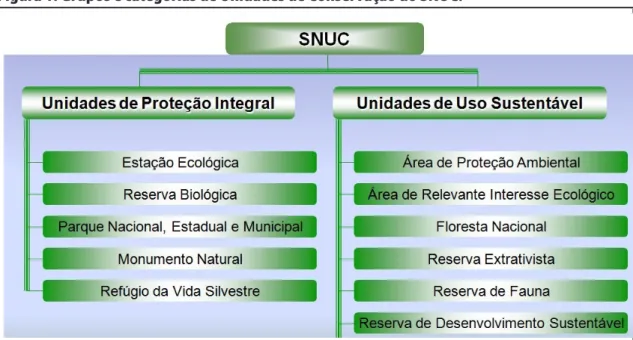 Figura 1: Grupos e categorias de Unidades de Conservação do SNUC. 