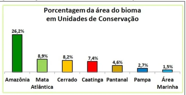 Figura 2: Porcentagem da área do bioma em Unidades de Conservação.