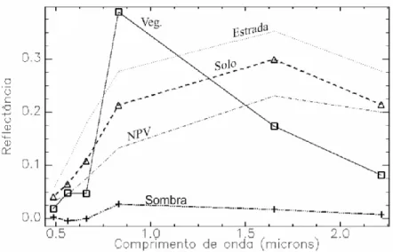 Figura 2 - Espectros puros obtidos na imagem (image endmembers). Os endmembers de Vegetação (Veg.) e  Vegetação Não-Fotossintética (NPV) foram obtidos em uma área de capoeira e de pastagem seca, respectivamente.