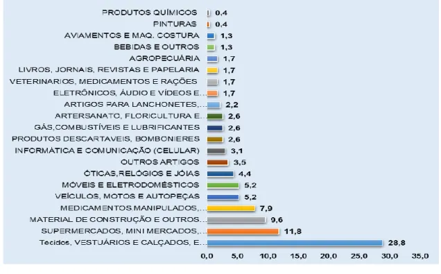 Gráfico 01: Segmentos dos comércios varejistas – Pau dos Ferros/RN (2014) 