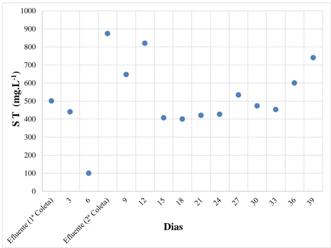 Figura 6. Concentração de Sólidos Totais ao longo do tempo no efluente tratado em wetland de bancada 