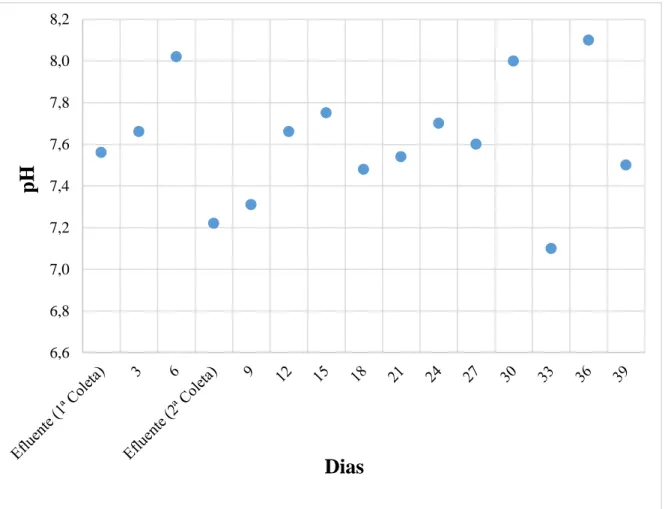 Figura 8. Valores de pH ao longo do tempo no efluente tratado em wetland de bancada