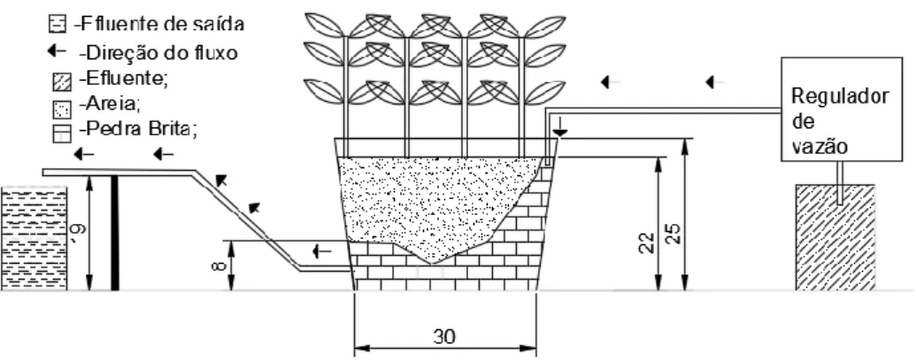 Figura 2. Sistema wetland utilizado para tratamento do efluente de parboilização do arroz