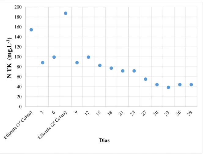 Figura 4. Concentração de NTK ao longo do tempo no efluente tratado em wetland de bancada