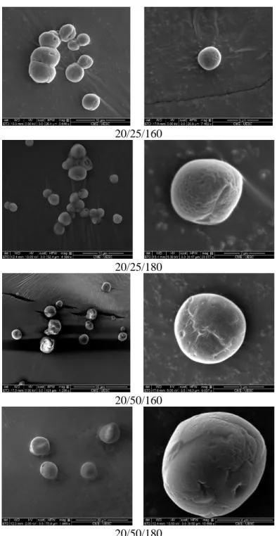 Figure 4. Scanning electron microscopy of microcapsules of virgin coconut oil at a total solidsconcentration  of 20% 
