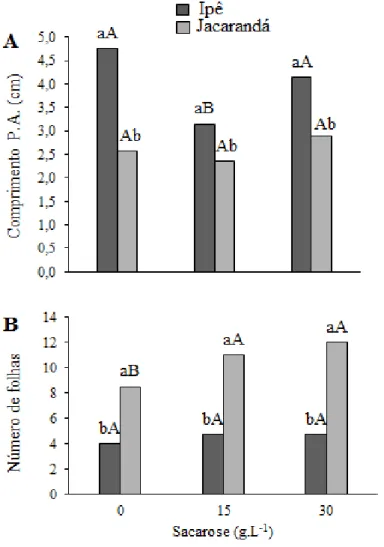 Figura 1. Comprimento da parte aérea (A) e número de folhas (B) em Handroanthus impetiginosus e  Jacaranda brasiliana cultivadas in vitro sob diferentes concentrações de sacarose