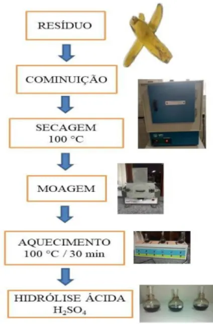 Figura 2. Esquema simplificado do procedimento experimental utilizado. Fonte: Autoria própria