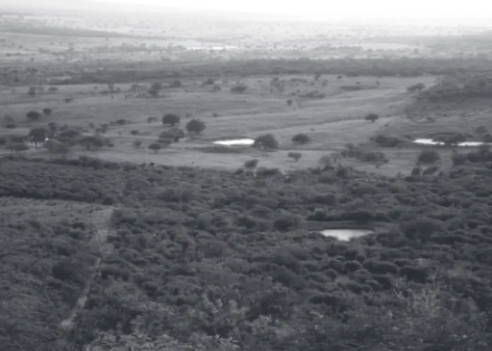 Figure 2. Typical landscape found in the study area, with open caatinga vegetation and open fields used for pasture and  agricul-ture.