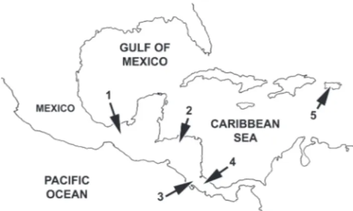Figure 18. Distribution of the exotic cyclopoid copepod Mesocyclops thermocyclopoides in the Neotropical region: 1) Tabasco, Mexico (G UTIÉRREZ -A GUIRRE  et al
