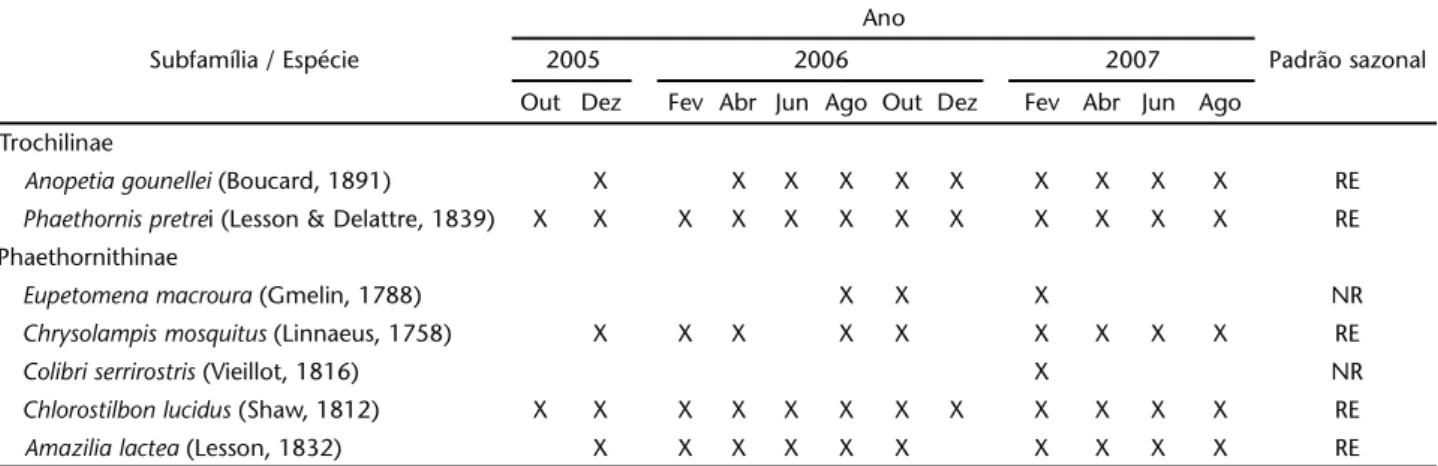 Tabela I. Espécies de beija-flores registradas entre outubro de 2005 e agosto de 2007, em área de caatinga arbórea na Chapada Diamantina, município de Mucugê, Bahia