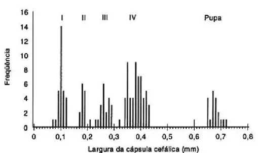 Tabela 1. Dimensões médias (± EP) das diferentes fases de desenvolvimento de M. uniraptor em pupas de M