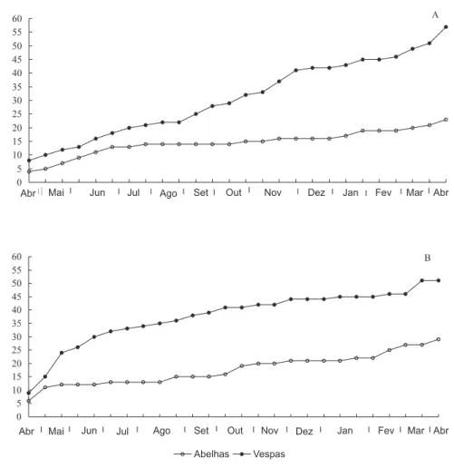 Figura 3. Número cumulativo de espécies de abelhas e vespas capturadas em W. americana na Estação Ecológica (A) e na Prefeitura (B) do Campus da UFMG em Belo Horizonte, de abril/93 a abril/94.