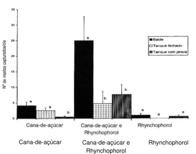 Fig. 2 - Número médio diário de Rhynchophorus palmarum capturados ao longo de 7 dias, por dois tipos de armadilhas contendo apenas cana-de-açúcar, em dendezeiro, Una, BA