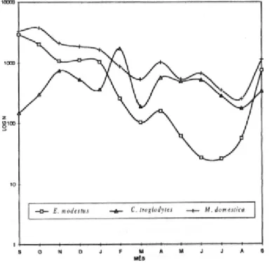 Figura 1. Sazonalidade de Euspilotus modestus e Carnicops troglodytes somando-se os dois métodos de coleta (armadilhas-de-solo e funil de Berlese) e de Musca domestica coletadas através de &#34;jug-trap&#34; por mês de coleta de setembro de 1992 a setembro