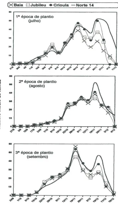 Figura 1. Número médio de ninfas de tripes, Thrips tabaci, em cultivares de cebola (média de 4 anos, 1985 a 1988), Ituporanga, SC.