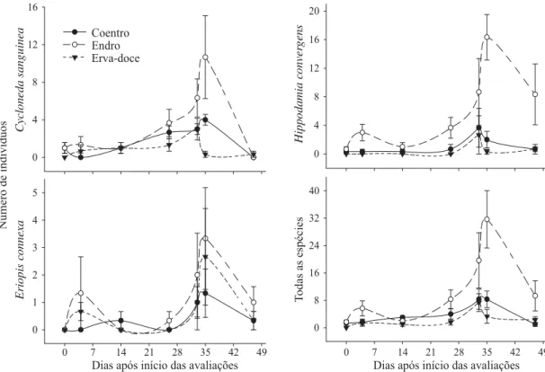 Fig 2  Número médio de indivíduos de Cycloneda sanguinea, Hippodamia convergens, Eriopis connexa e do total de coccinelídeos  coletados em coentro, endro e erva-doce ao longo das sete datas de amostragem