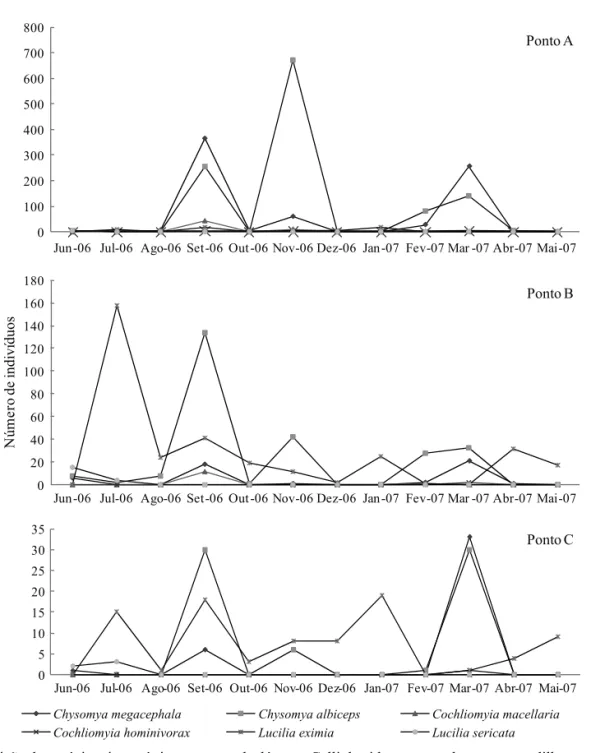 Fig 3 Distribuição de espécies sinantrópicas comuns de dípteros Calliphoridae, capturados com armadilhas contendo sardinha,  nos três pontos de coleta na Reserva Biológica do Tinguá, RJ, de junho de 2006 a maio de 2007.