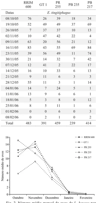 Fig. 4. Porcentagem de ocorrência de E. tingitiphagus nos  clones RRIM 600, GT 1, PR 255, PB 235 e PB 217, no período  de outubro de 2005 a fevereiro de 2006, na fazenda da empresa 
