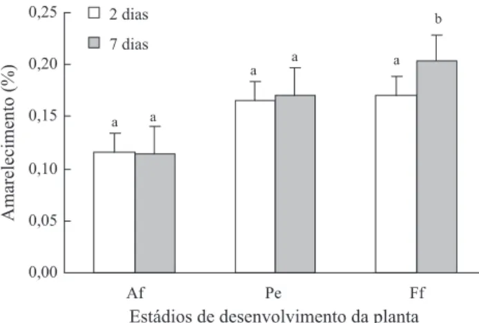 Fig. 3. Porcentagem de amarelecimento nas folhas (média ±  EP) de trigo submetido a duas durações de infestação de R