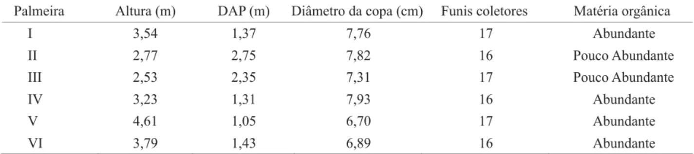 Tabela 1. Altura, DAP, diâmetro da copa e quantidade de matéria orgânica acumulada na copa de seis palmeiras de A.