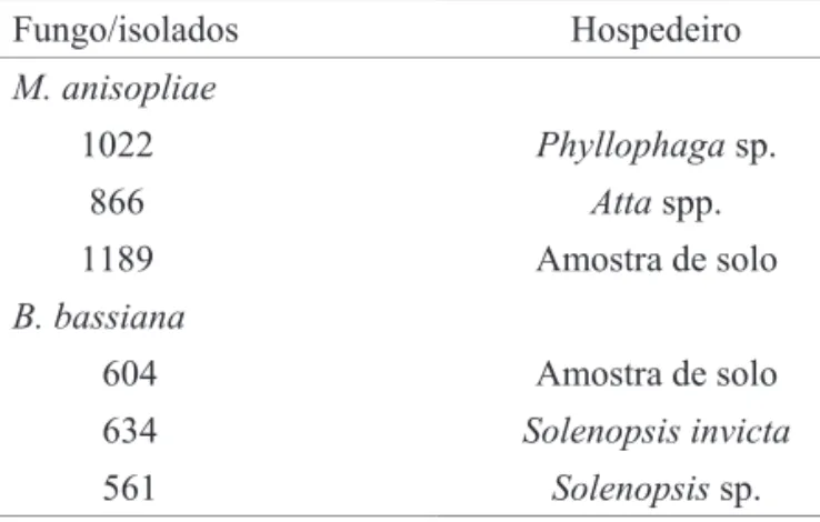 Tabela 1. Isolados de M. anisopliae e B. bassiana e seus hospedeiros. Fungo/isolados Hospedeiro M