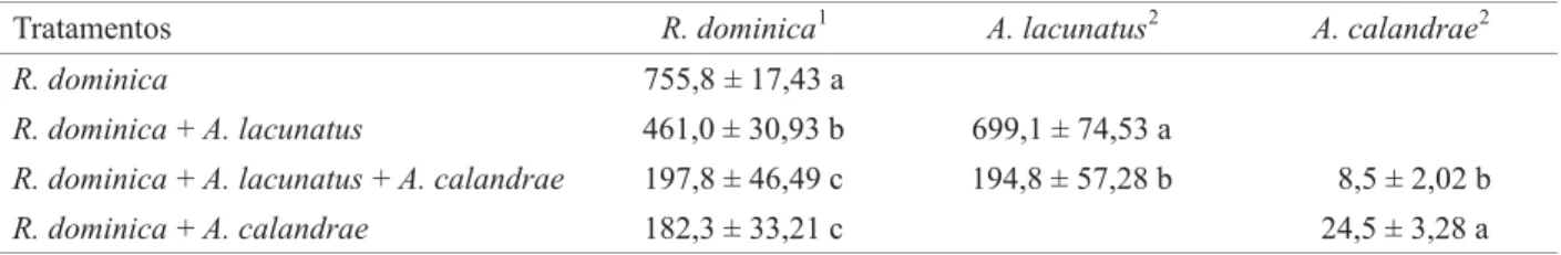 Tabela 1. Número médio (±EP) de adultos de R. dominica e seus inimigos naturais A. lacunatus e A