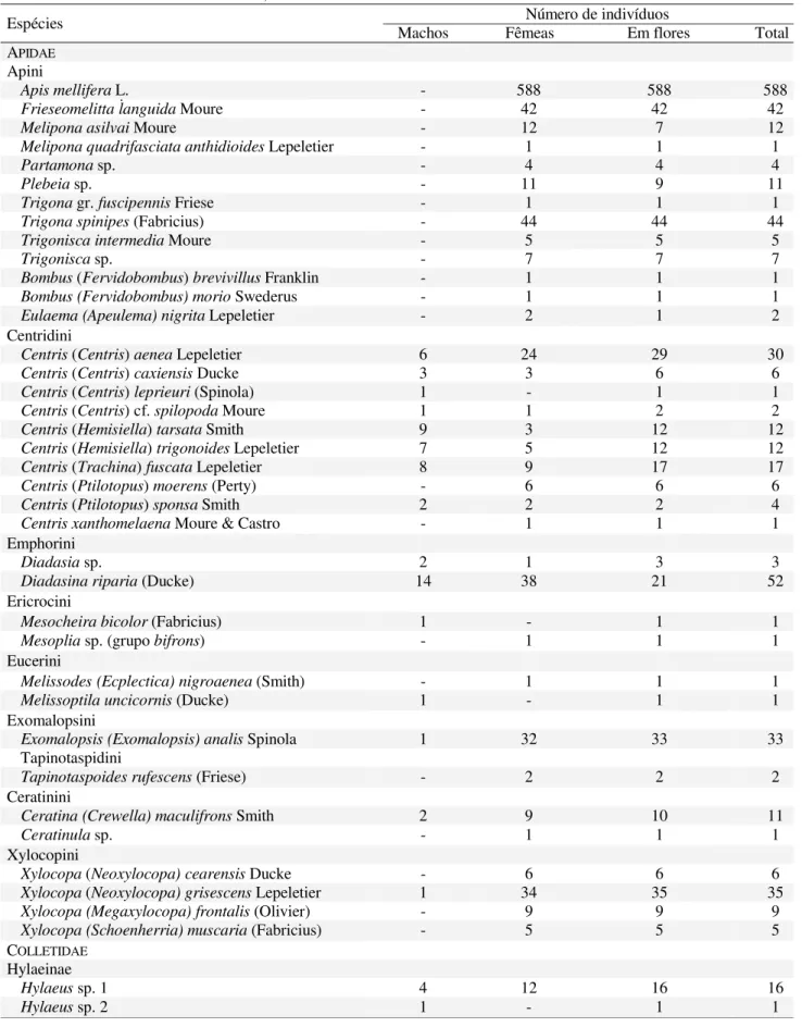 Tabela 1. Abelhas coletadas em Itatim, de setembro de 1996 a novembro de 1997.