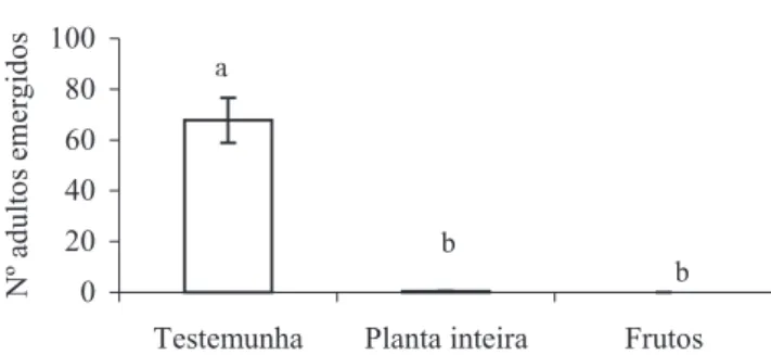 Figura 2. Emergência de adultos de S. zeamais em grãos de trigo tratados com pós de frutos e da planta inteira (com frutos) de  C