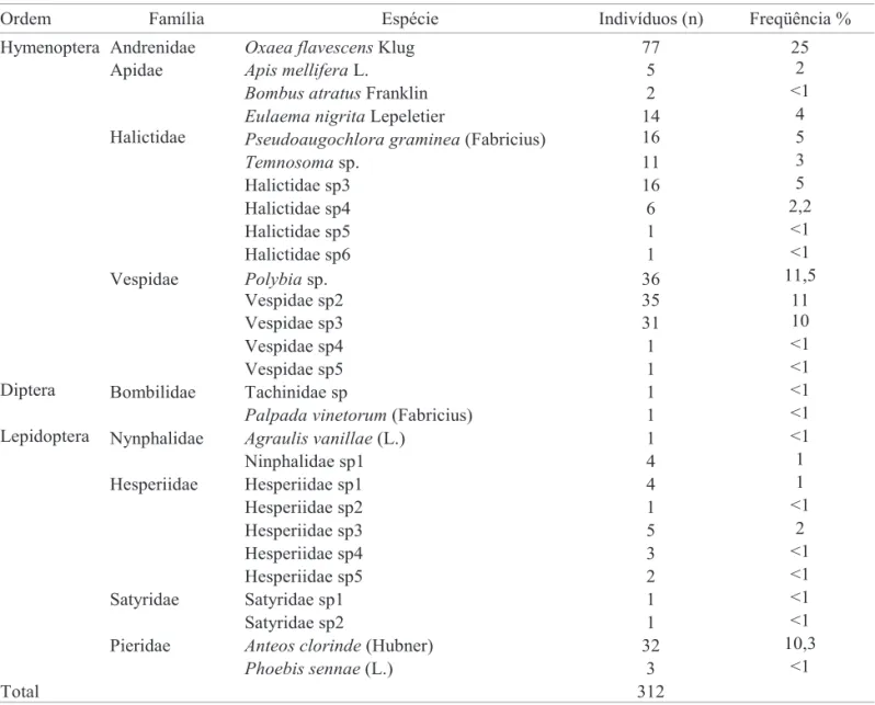 Tabela 1. Classificação e quantificação dos visitantes florais de S. glabra no campus da Universidade Federal de Ouro Preto, MG.