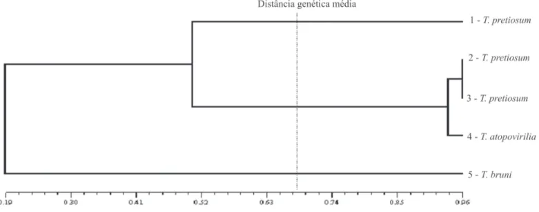 Figura 3. Cladograma de linhagens do gênero Trichogramma realizado pelo método UPGMA baseado em dados de ISSR
