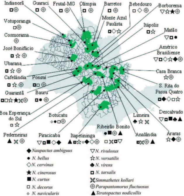 Figura 3. Distribuição das espécies de curculionídeos-das-raízes nos municípios da área citrícola de São Paulo e Minas Gerais, em levantamento realizado em 2001/02.