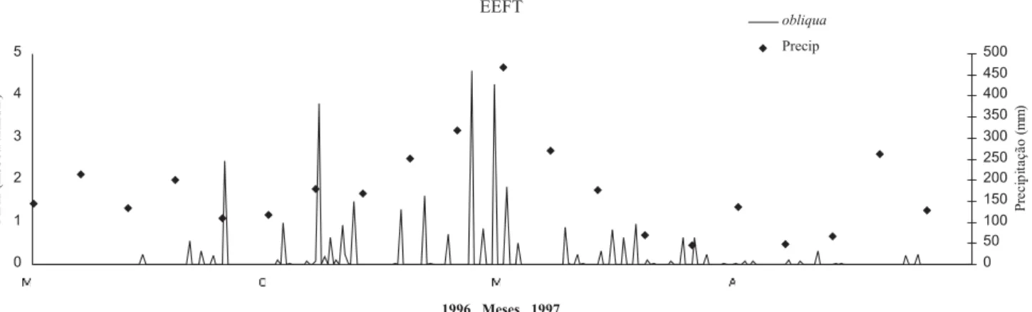 Fig. 8. Flutuação populacional de A. obliqua capturada em armadilhas McPhail e a precipitação pluviométrica na EEFT, INPA, BR 174, km 40, Manaus, AM, de maio de 1996 a dezembro de 1997.