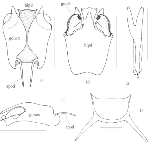 Figura 13. Escutelo (escala = 1 mm); (apod) apódema do gonocoxito; (goncx) gonocoxito; (gonst) gonóstilo; (hipd) hipândrio Agradecimentos