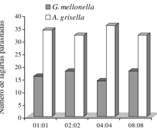 Figura 2. Número de lagartas de A. grisella e G.